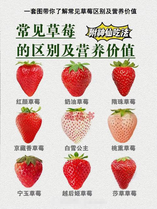 草莓的含糖量高吗的相关图片